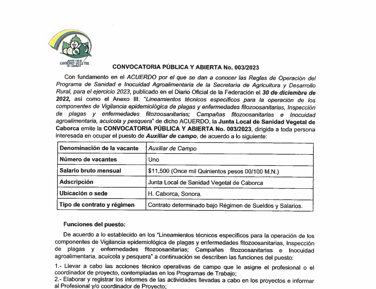 Imagen del post