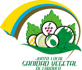 Imagen del we